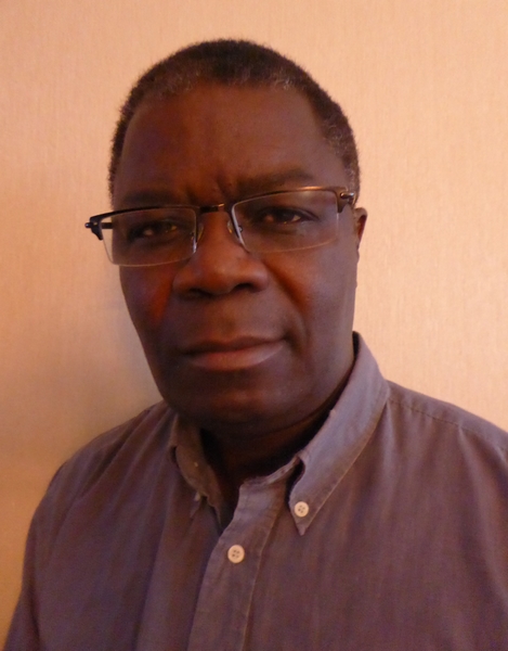 Diaspora : Une nouvelle coordination des associations congolaises en France